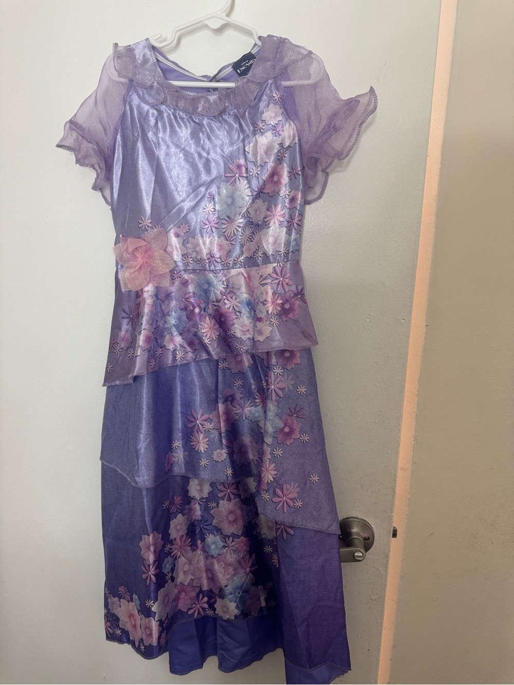 Disney Encanto costume dress
